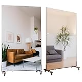 ダンス鏡 割れない鏡 キャスター付き 姿見 全身鏡 移動式 フィルムミラー われない 大きい 軽量 持ち運びヨガ トレーニング バレエ 鏡 HDフィルム変更(ホワイト, 100x160cm) LALA-kst-100