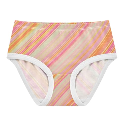Orange Stripes Toddler Girls's Underwear 2T 202c1890