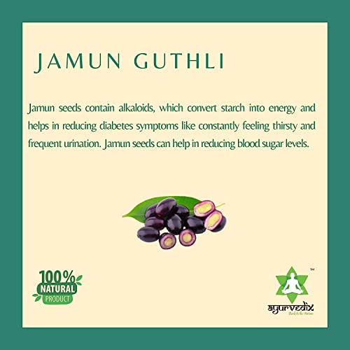 Image of Jamun Seed Ark 600 ml | Jamun Guthli (Syzygium cumini) Hydrosol | Supports Digestion, Metabolism & Daily Wellness | Herbal Detox & Antioxidant Support | Ayurvedic Liquid | FSSAI Certified