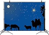 LB 9x6ft Vinyl Birth of Jesus Nativity Easter Backdrop Christmas Night Starry Sky Star of Bethlehem Backdrops for Photography Christian Event Banner Photo Booth Studio Props