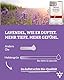 Heldengrün® BIO Roll-On Lavendel [100% NATURREIN] Dermatologisch getestet - 2-in-1: Duft & Pflege - Lavendelöl Roll-On mit Jojoba- & Mandelöl - Ideal am Abend