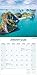Tropical Islands Calendar 2026 | 12 Month Wall Calendar | Avonside Publishing | Plastic Free Packaging