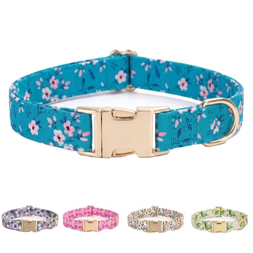 AIITLE Robustes Hundehalsband für mittelgroße & große Hunde, verstellbare Metallschnalle mit lebhaftem Printmuster, süßes Frühling/ Sommer- Design für aktive Rüden & Hündinnen im Freien, Bla