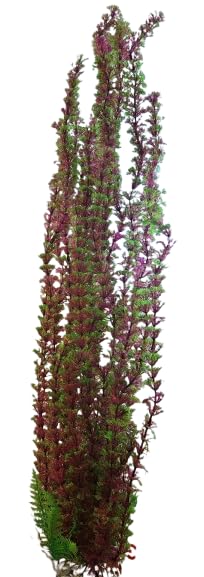 Jumbo Aquarium or Pond Artificial Dark Orange Plant 75-80cm (30 Inch) Tall, with Heavy Base Bushy Foliage, Extra Long Plastic Seaweed Aquascaping Decoration for Fish Tanks or Water Gardens