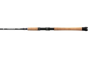 SHIMANO Teramar SE Spinning Rod