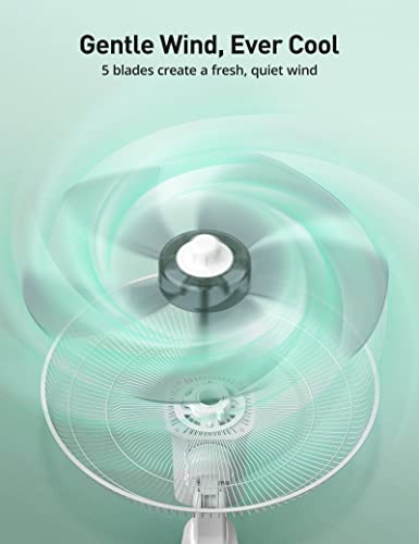 Paris Rhône Wall Mount Fan, 16 Inch Wall Fan With 5-Blades, 5 Speeds, 20Ft Remote Control, Wide 90-Degree Oscillation, 8 Hour Timer, Quiet Operation, Fans For Bedroom, Kitchen, Study & Home Gym #TOP2