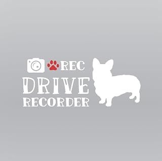 カッティングステッカー ドライブレコーダー録画中 ドラレコ 犬 コーギー シルエット 肉球 ステッカー ホワイト