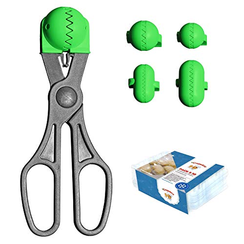La croquetera Pack- Pelle multi-usages Vert  4 Moules interchangeables pour masse + Pack 20 plateaux conservation  100% espagnol?: patenté et fabriqué en Espagne