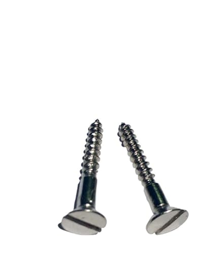 DZY Hardware Stainless Steel Shaved Head Screw for fixing Woods,Plywood,Pasterboards,etc 20x6 MM Pack of 50