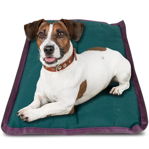 Jeffers Pet Comfort p ~fBA 63.5 cm x 83.8 cm _[NO[ ? @ pxbh nEX \t@ N[g s ? |RbgVFA~̒gA\tgAKAϋvAgbvybgQ