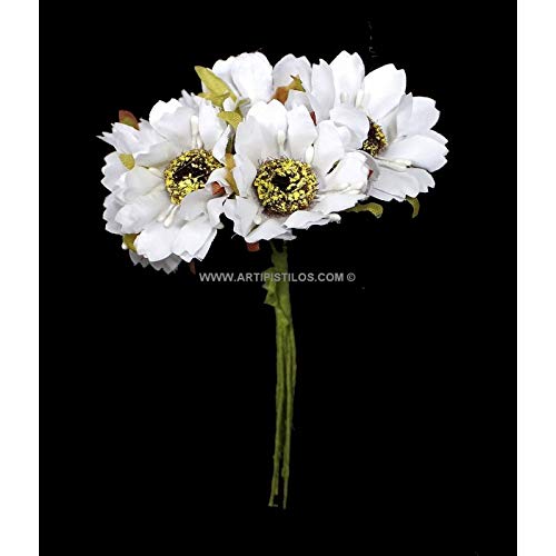 Bouquet 6 Daisy Flowers - White - Miniflowers