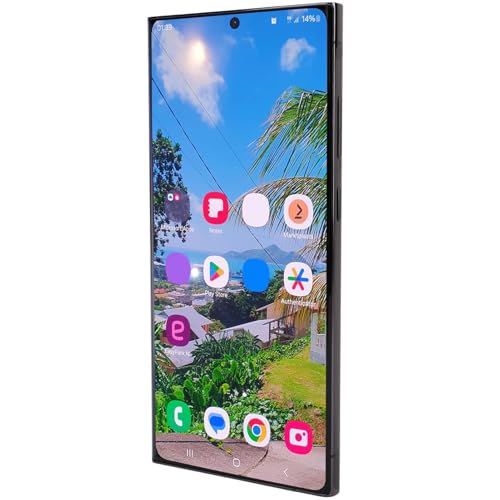 Numériseur tactile S23 Ultra 5G pièce de rechange écran noir réactif