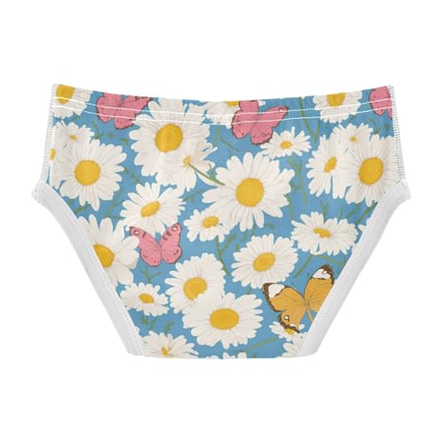 Wusikd Butterflies Boys' Underwear Cotton Daisies Boys Briefs Soft Toddler Underwear 2T2