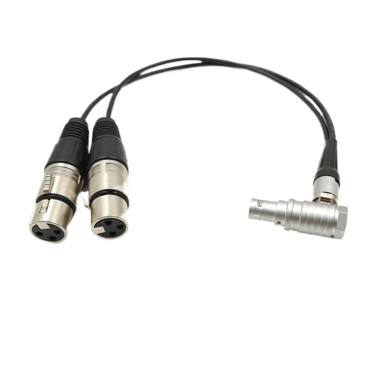 Ato~os Shog~n Monitor Recorder 1B Connecteur 10 broches vers double câble d'entrée audio XLR à 3 for enregistreur de moniteur(Elbow Plug Cable,30cm)