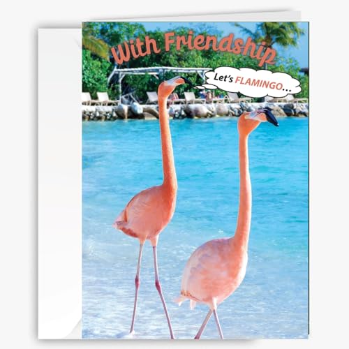 킢t~SFO[eBOJ[hA@AFAeFAaJ[h - ʔA[XȊ̓ - j[NȎʐ^ - L 5 x 7C` - ⓮D