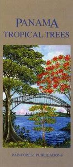 Panama Tropical Trees Field Guide (Laminated Foldout Pocket Field Guide) (English and Spanish Edition)