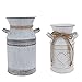 Cabilock Vase à Fleur en Métal Fer Shabby Chic Pichet Vase Vintage Lait Galvanisé Peut Cruche Vases Rustique Fleur Récipient Seau Ferme Français Seau Pot Grand Vase Galvanisé 2 Pièces