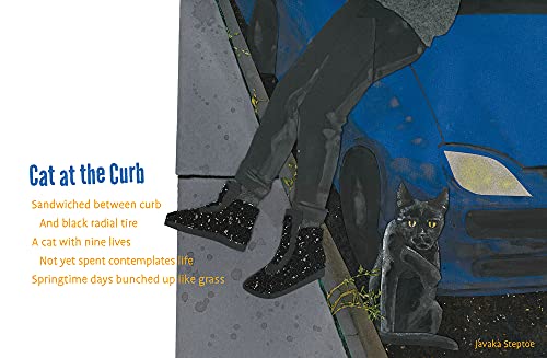 Thirteen Ways of Looking at a Black Boy - Image 6