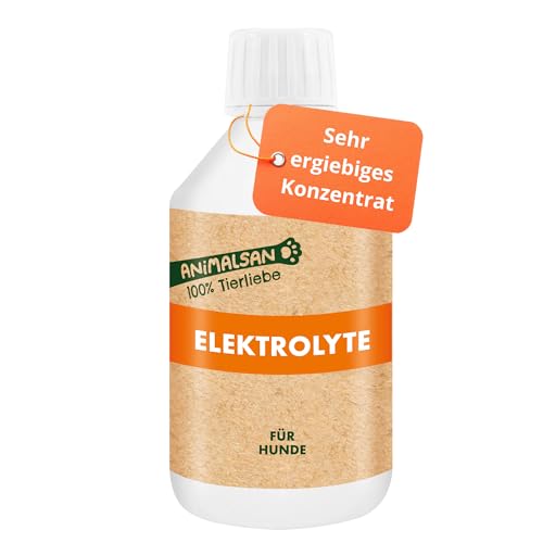 Animalsan Elektrolyte Hunde – Diät-Ergänzungsfuttermittel für Hunde – 250 ml Konzentrat - Zur täglichen Unterstützung des Flüssigkeits- und Elektrolythaushalts bei deinem Hund