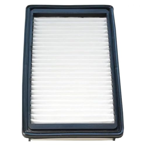 Filtre à air moteur pour Hyundai Verna et Kia K2 28113-F9100