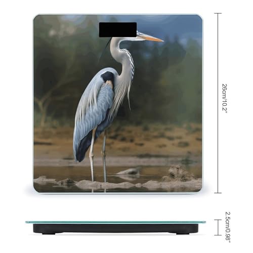 Báscula digital de baño con vidrio templado y pantalla LCD miniatura 2