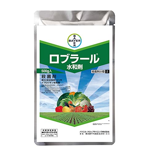 oCGNbvTCGX Eۍ u[a 500g