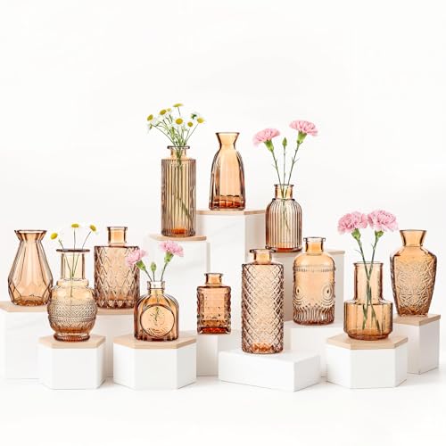 Bud Vases Set of 12, Small Mini Glass Vases for