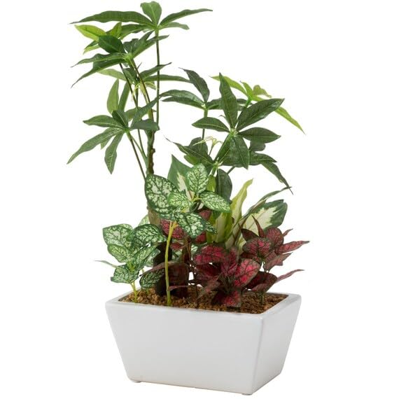 人工植物　フェイクグリーン　（ニトリ） Amazon｜ニトリ(NITORI) フェイクグリーン ドラセナ テラコッタ