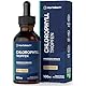 Chlorophyll Tropfen 100ml aus reinem Alfalfa | Vegane Chlorophyll Liquid | Hochdosiert & ohne Konservierungsstoffe | Horbaach