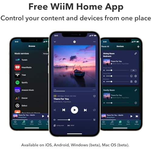 Image of WiiM Pro Plus AirPlay 2 & Google Cast Audio Streamer with Premium AKM DAC, Voice Remote, Alexa /Siri /Google Compatible, Hi-Res Multiroom Music Streaming from Spotify, Tidal & Amazon Music | Dark Gray