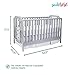 Suite Bebe Celeste 3 in 1 Convertible Island Crib, Wood and Acrylic, Light Grey