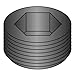 Socket Pipe Plug Dry Seal Pl 1/8,PK100