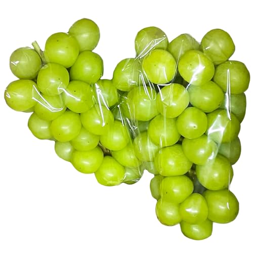 [先行予約][2026年発送]池田果樹園 シャインマスカット2〜3房セット(1.2kg以上)(2026年9月中旬〜10月中旬お届け)