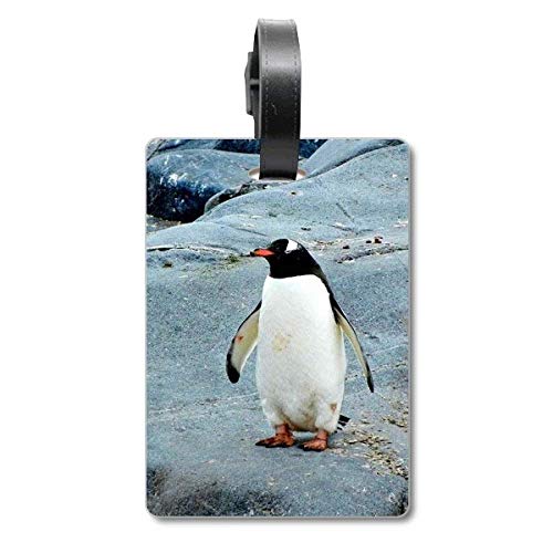 Étiquette de valise pingouin accessoire bagage voyage rigide