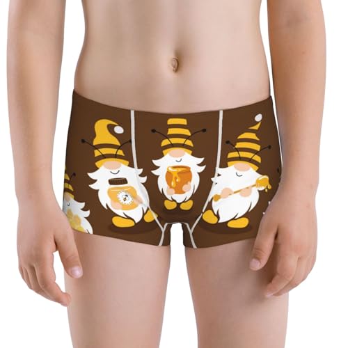 Boys' Cotton Boxer Brief Soft Underwear-Gnomes With Honey