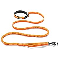 Algopix Similar Product 1 - RUFFWEAR Roamer Dog Leash Adjustable