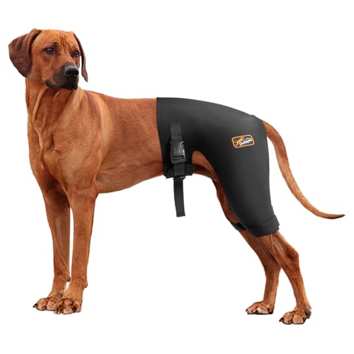 Dog Hip Brace with Hot/Cold Compress, Support for Hip Dysplasia, ...