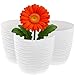 Home Garden Ornaments Pflanzentopf für Zimmerpflanzen – 3er Set Blumentöpfe aus Kunststoff mit Wellenstruktur, Drainagelöchern & integriertem Untersetzer – für Innen & Außenbereich (13 cm, weiß)