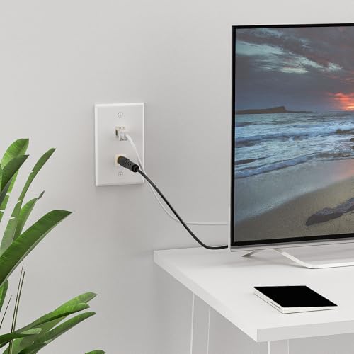 Placa de pared CAT6A blindada iwillink con toma de red antiinterferencias y coaxial 3