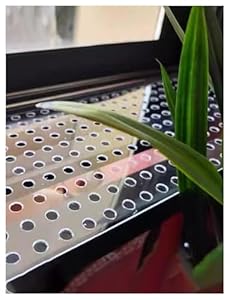 Generisch Lochblech 10mm, 1.6mm-50x200cm