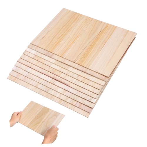 OSOLADY 10Pcs Breaking Boards for Taekwondo Versatile Martial Arts Planks for Karate and Boxing Training for Beginners Thickness for Supervised