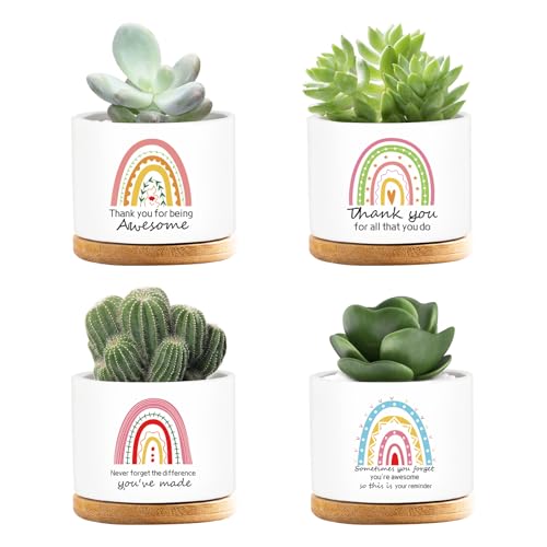 emzrivo 4 Pcs Thank You Gifts Employee Appreciation Gifts Funny Ceramic Succulent Plant Pot Administrative Professional Day Gifts Teacher Christmas Mom Gifts, Plants Not Included (Thank You)