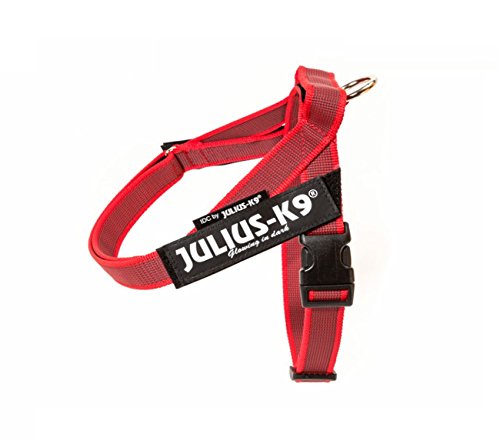 Pettorina Julius-K9 IDC New Belt Harness Red
