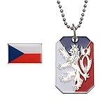 Paket: 1 Brosche + 1 Halskette