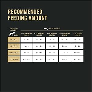   Purina-Pro-Plan-Large-Breed-Dry-Puppy-Food-Chicken-and-Rice-Formula-47-lb-Bag