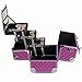 SHANY Premier Fantasy Collection Makeup Artists Cosmetics Train Case - Purple diamond