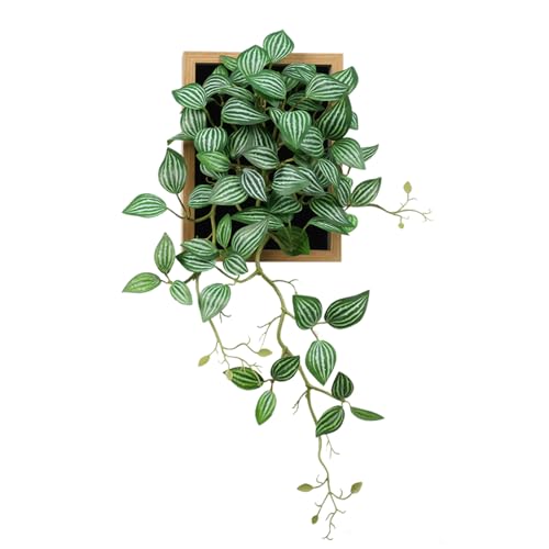 VerdantCharm Tableau Végétal Mural avec Feuilles Réelles | Cadre Décoratif Plante Artificielle 30x48cm | Décoration Murale Moderne pour Salon, Bureau &...