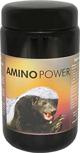 Preisvergleich Produktbild Amino Power-Komplex 180 Kapseln Robert Franz