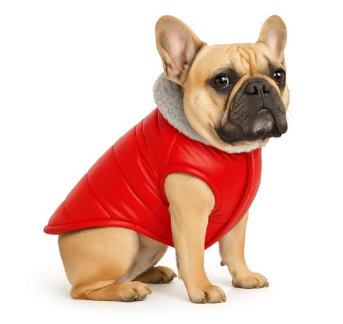 Image of The Pets Company Dog Winter Coat Jacket, Clothes, Windproof, Waterproof, Light Weight, Washable, Ultra Warm Thick Fleece Lined Dog Vest for Cold Weather Protection, (Red, Small - Medium - 16 Inch)