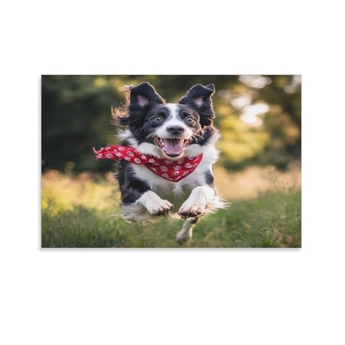 Cuadro de Border Collie para tapar imperfecciones de pared con arte